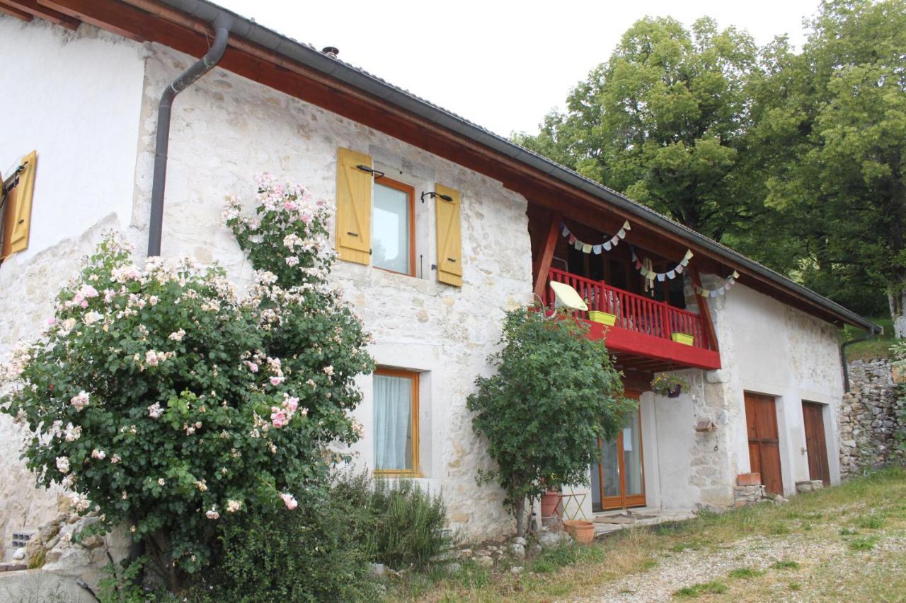 Chez Louve Bleue Bed & Breakfast Hotonnes Dış mekan fotoğraf