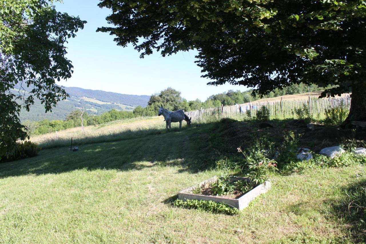 Chez Louve Bleue Bed & Breakfast Hotonnes Dış mekan fotoğraf