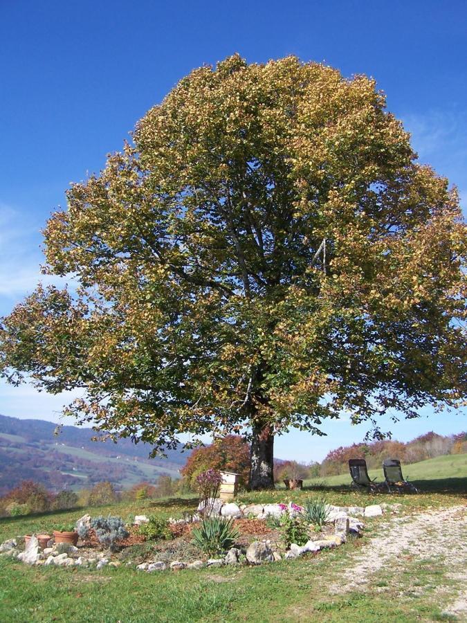 Chez Louve Bleue Bed & Breakfast Hotonnes Dış mekan fotoğraf